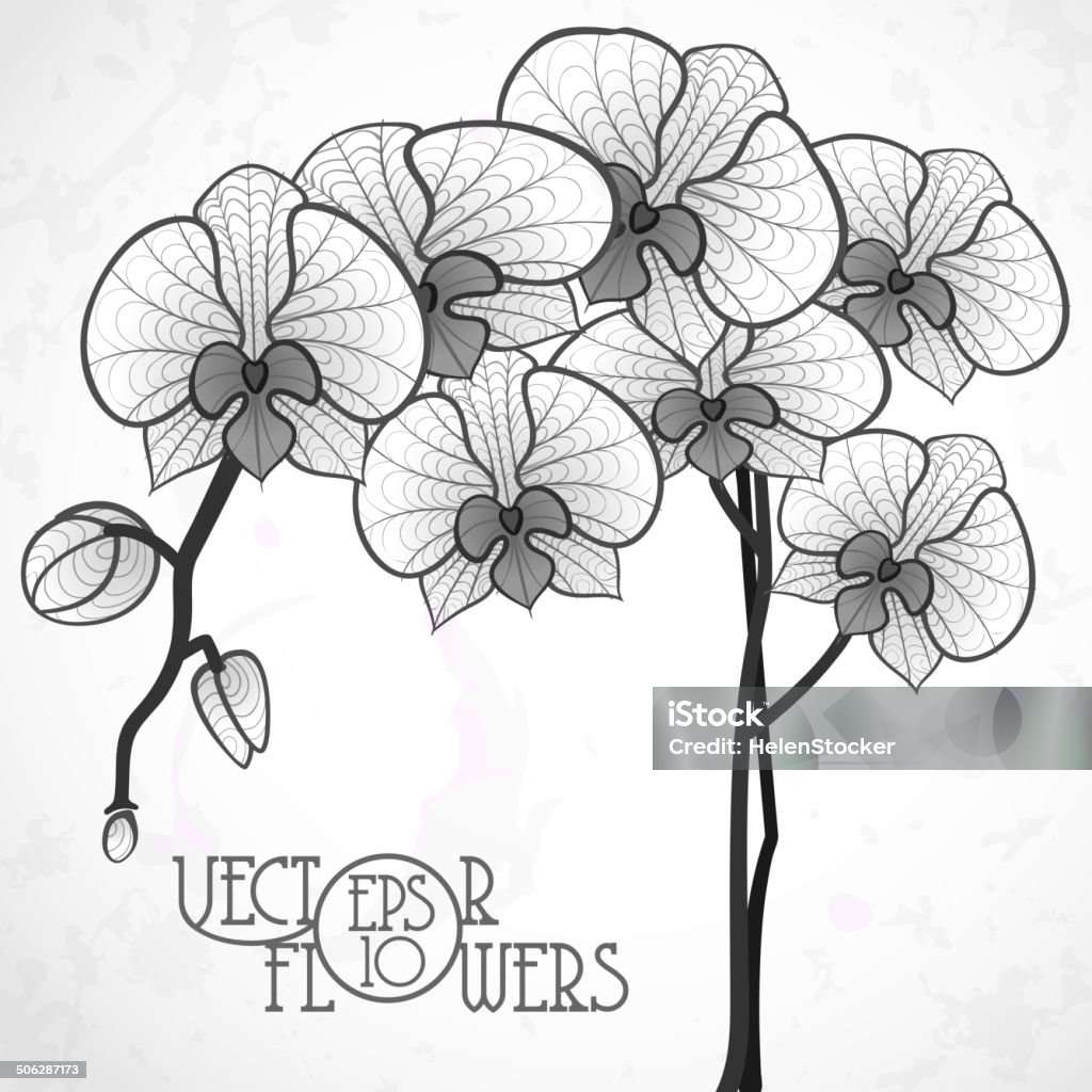 Hand Drawing Orchid Flower. Hand Drawing Orchid Flower. Vector Illustration. Eps 10 Abstract stock vector