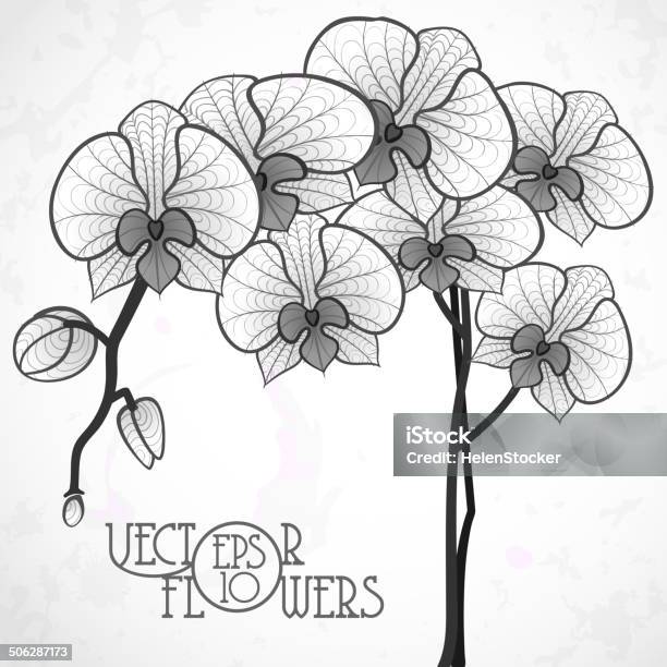 Hand Drawing Orchid Flower Stock Illustration - Download Image Now - Abstract, Backgrounds, Beauty