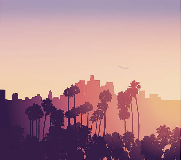 illustrazioni stock, clip art, cartoni animati e icone di tendenza di los angeles tramonto scena con palme - orizzonte urbano illustrazioni
