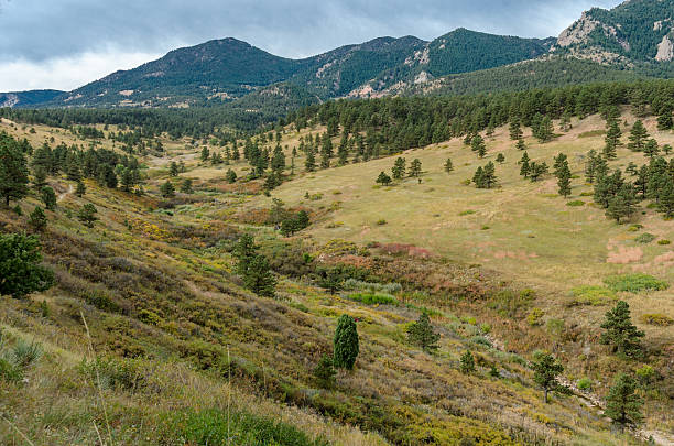 istock Multi use trail in valley near Flat Irons 506288186