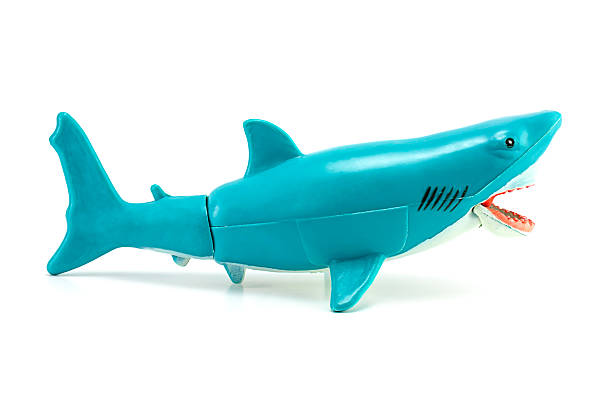 istock White Shark toy isolated on white 506288891