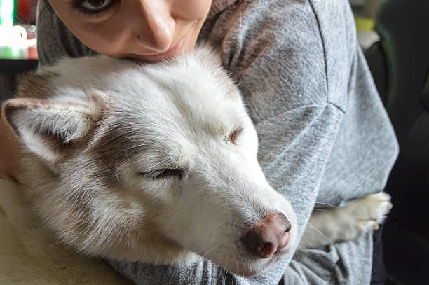 istock Young woman hugging her dog 506291186