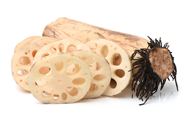 raíz de loto (nelumbo nucifera), o renkon - lotus root fotos fotografías e imágenes de stock