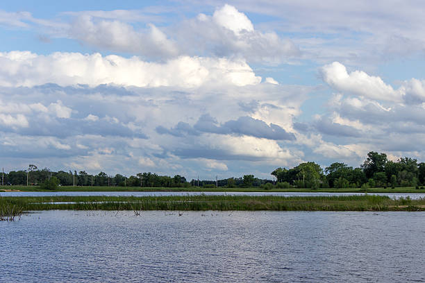 istock Lake With Thin Strip Of Trees On The Horizon 506297274