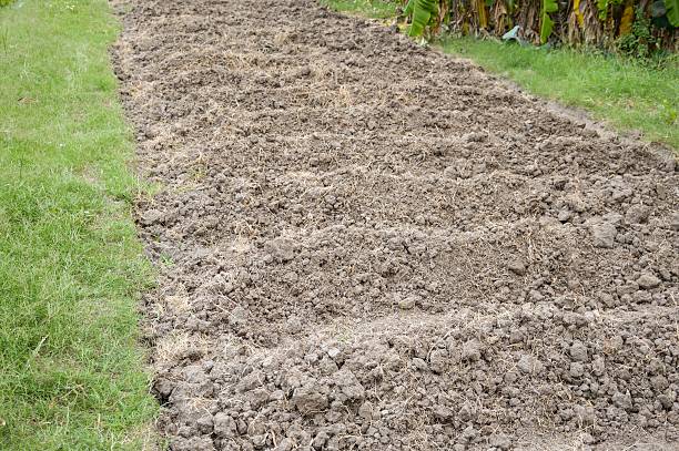 istock soil preparation for sowing vegetable in field agriculture 506298564
