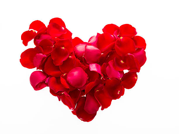 istock Heart shape by red rose petals 506299608