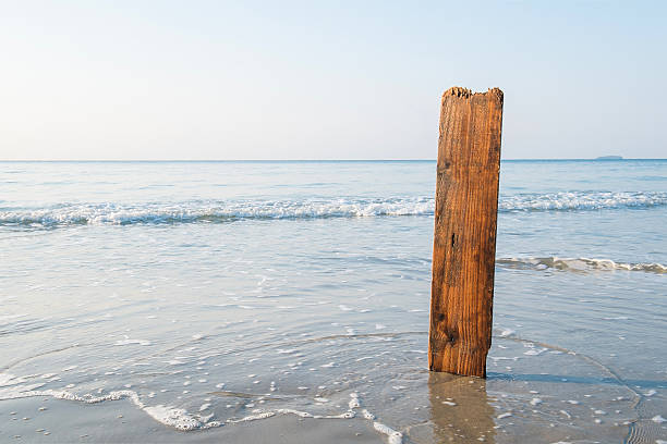 Free Stock Photo of Large Wooden Plank Sticking Out of Sand | Download ...