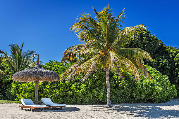 Loungers and umbrella on tropical beach in Mauritius Island stock photo