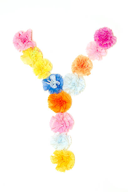 istock “Y” Alphabet flowers made from paper craftwork 506316882