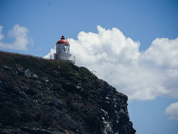istock New Zealand lighthouse seashore 506317274