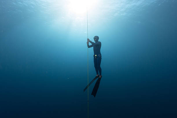 freediver no mar - mergulho livre - fotografias e filmes do acervo