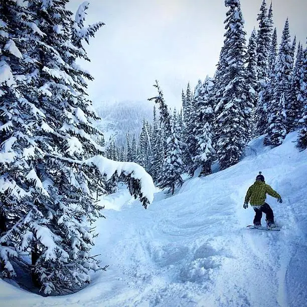 This photo was taken at Sunshine Village Ski & Snowboard Resort in Banff, Alberta, Canada, after a 39 cm snowfall.