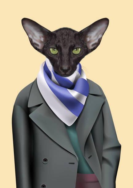 istock Black Cat boy dressed up in casual city style. 506320272