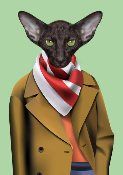 istock Black Cat boy dressed up in casual city style. 506320346
