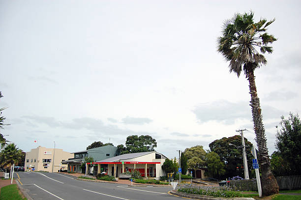 istock Palm in town street 506321514