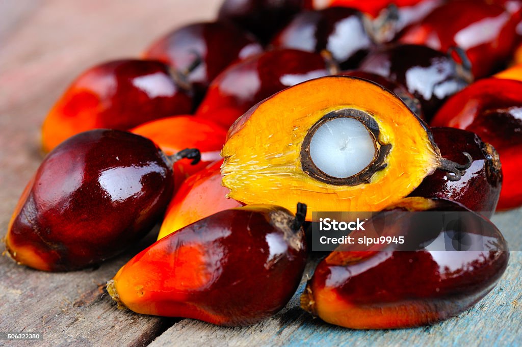 Close up of fresh oil palm fruits, selective focus. Palm oil, a well-balanced healthy edible oil is now an important energy source for mankind. It comes from the fruit itself (reddish orange). Today it is widely acknowledged as a versatile and nutritious vegetable oil, trans fat free with a rich content of vitamins and antioxidants. Palm Oil Stock Photo