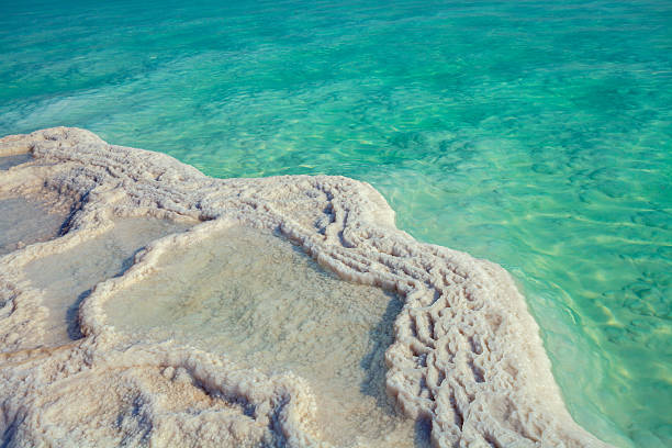 istock Texture of Dead sea. Salt sea shore 506322538