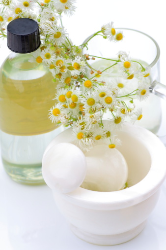Close-up of mortar, mug and bottle, with fresh herbal chamomile flowers and essential oil.