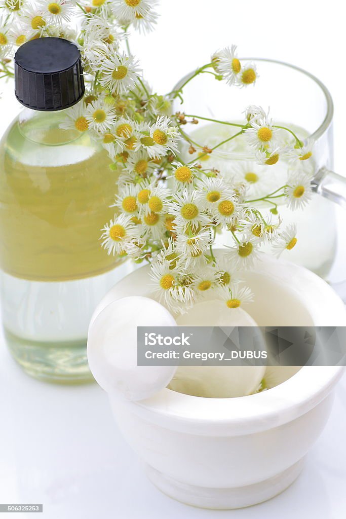 Chamomile flower virtues Close-up of mortar, mug and bottle, with fresh herbal chamomile flowers and essential oil. Chamomile Stock Photo