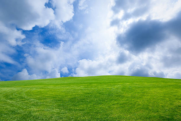 istock Field of green grass and blue sky 506328888
