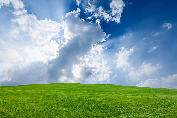 istock Field of green grass and blue sky 506329252