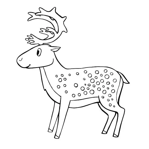 Vector illustration of Cute vector deer
