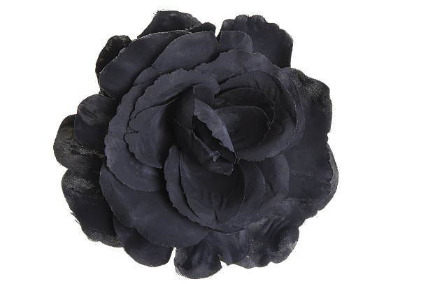 istock Black flower head rose 506329967
