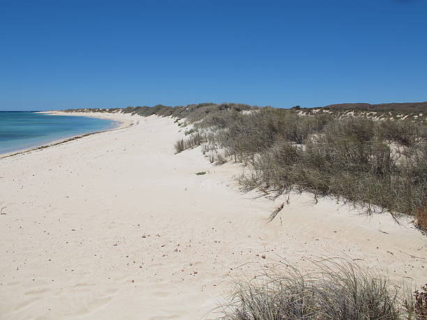 istock Ningaloo Coast, Cape Range National Park, Western Australia 506330740