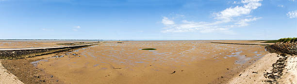 istock Les ford oceanic country Sortieres 506330821