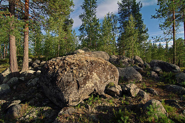 istock Stones in the woods 506331887