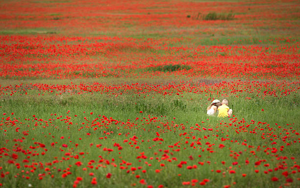 istock Large and dense poppy field with little children 506332355