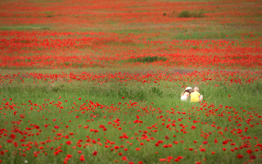 Red flowered landscape, and sitting brothers and sister together