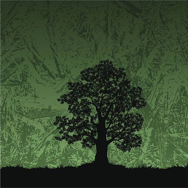 illustrations, cliparts, dessins animés et icônes de chêne silhouette sur fond abstrait - glade forest oak tree tree