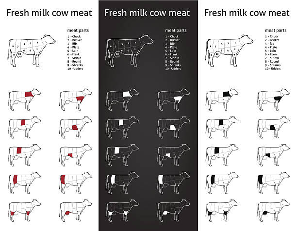 牛の肉の新鮮なミルクの部品の包装のアイコンと情報グラフィック - chuck steak点のイラスト素材／クリップアート素材／マンガ素材／アイコン素材
