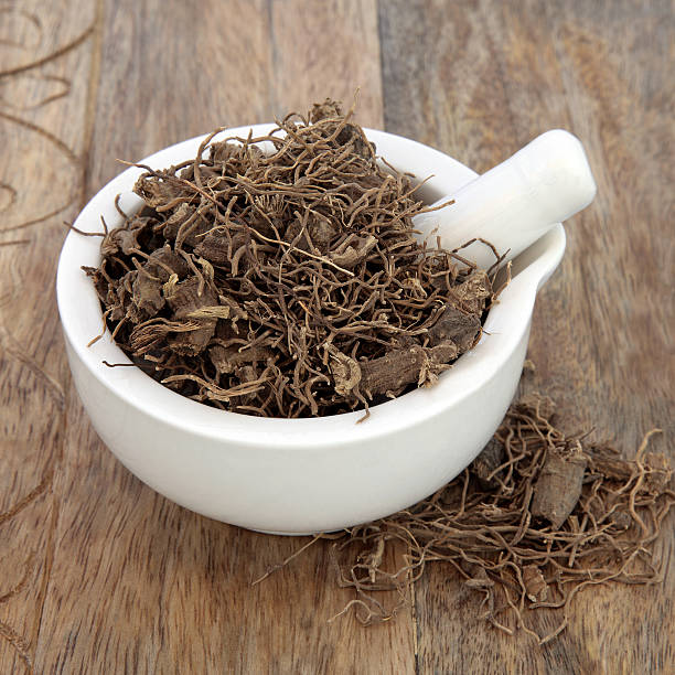 Black Cohosh Root Herb Black cohosh root herb used in natural alternative herbal medicine over old wood background. Used to treat menopausal and pre menstrual symptoms in women. Actaea racemosa. green corn lily stock pictures, royalty-free photos & images