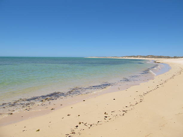 istock Ningaloo Coast, Cape Range National Park, Western Australia 506339322