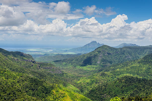 istock Black River Gorges National Park 506343094