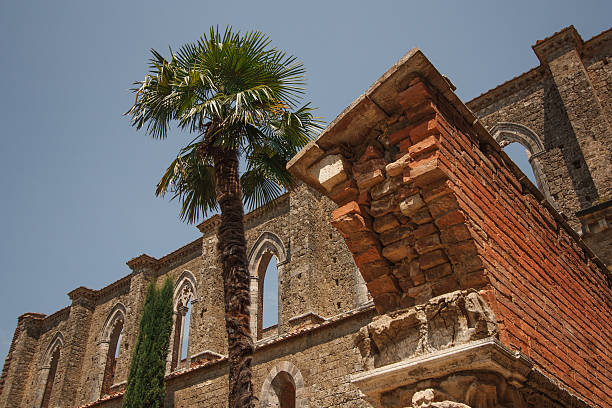 l'abbazia di san galgano - italy old ruin abbey basilica foto e immagini stock