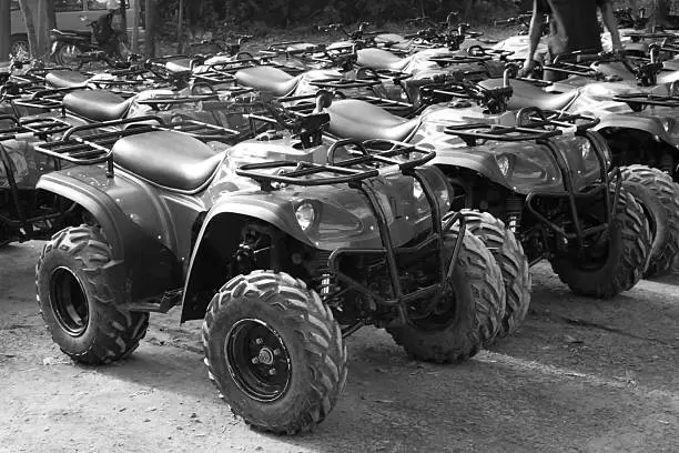 ATV stands on the ground in rubber tree field, black and white photo.