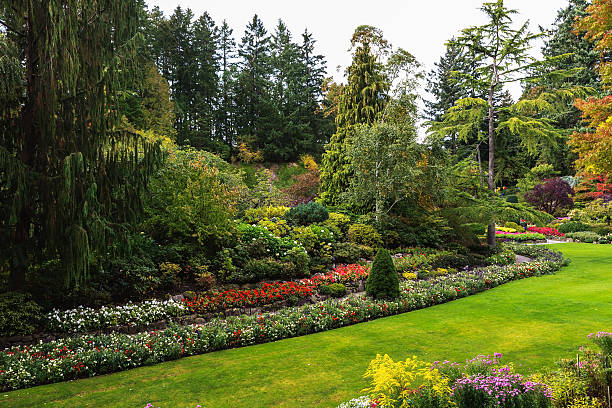 istock The walking paths  in Sunken Garden 506344040