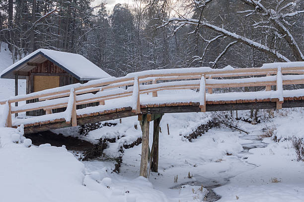 istock Wooden bridge in winter 506344312