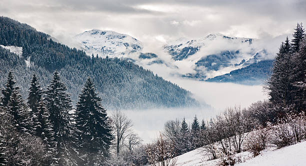 istock Zillertal at a winter day, Tyrol, Austrian Alps 506344376