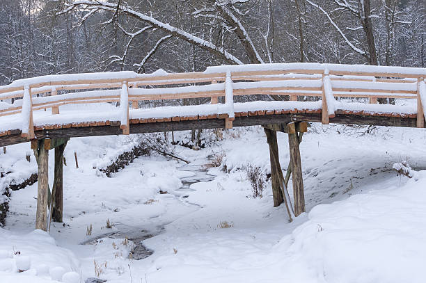 istock Wooden bridge in winter 506344382