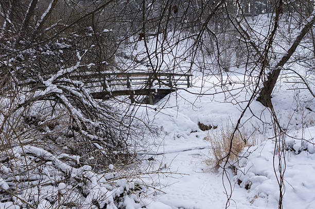 istock Wooden bridge in winter 506344602