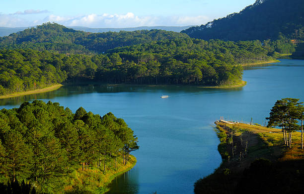 istock Dalat, Vietnam, eco travel, pine forest, Da Lat 506347788
