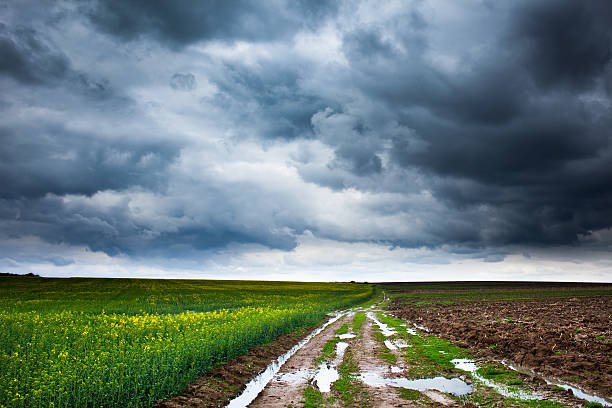 istock Rural road and moody skies 506350140