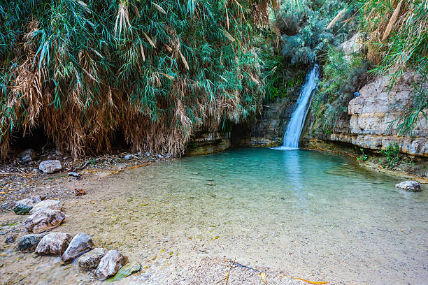 istock The national park Ein Gedi, Israel 506351144