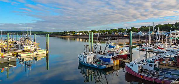 Nova Scotia summer, late afternoon with evening approaching.   Boats tied up in low tide, in for the day.  Sunshine on calm coastal water.