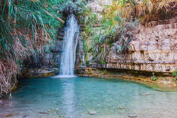istock Walk in the national park Ein Gedi, Israel 506352374
