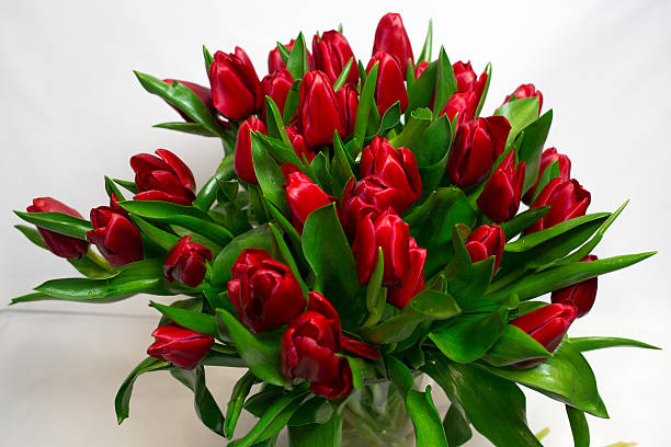 istock Bouquet of red tulips isolated on white background 506353108